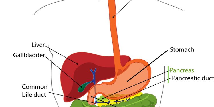 Cancerul colorectal, tot mai frecvent la adulții sub 50 de ani
