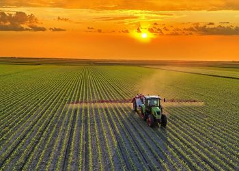 Dietele mai sănătoase ar putea reduce cu 85% emisiile agricole