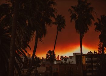 Incendiile din Los Angeles au lăsat urme psihice asupra celor vulnerabili