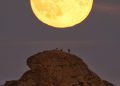 Luna se îndepărtează de Pământ: ce se va schimba