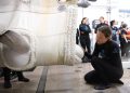 Încă patru beluga au ajuns la un acvariu din Chicago