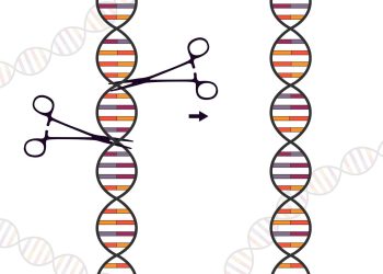 CRISPR, „comandantul-șef” al apărării bacteriene, descoperit de cercetători
