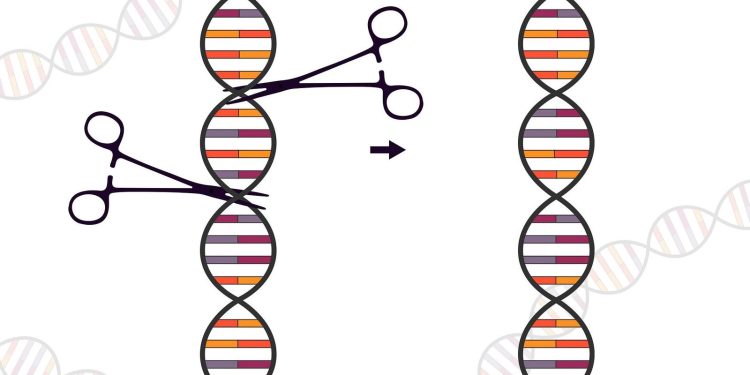 CRISPR, „comandantul-șef” al apărării bacteriene, descoperit de cercetători