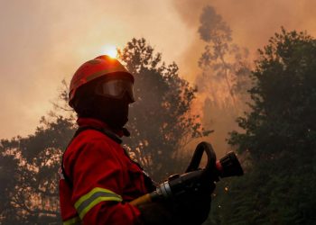 Fumul de incendii de vegetație afectează întregul organism