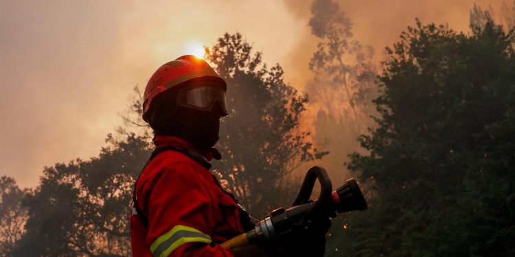 Fumul de incendii de vegetație afectează întregul organism