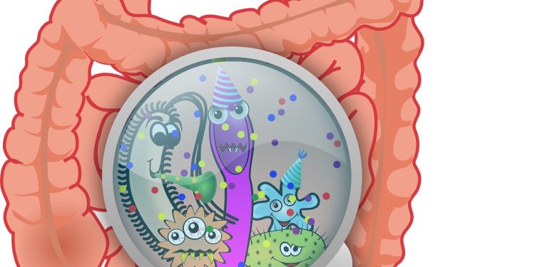Microbiomul intestinal ar putea crește eficiența chimioterapiei
