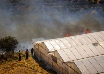 Noi incendii în Grecia: suburbie a Atenei evacuată, alertă maximă