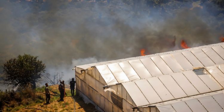 Noi incendii în Grecia: suburbie a Atenei evacuată, alertă maximă